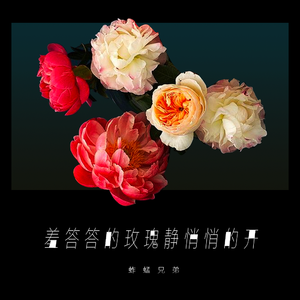 韩国免费高清观看熊出没
