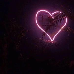 韩国免费高清观看熊出没
