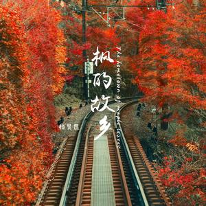 韩国免费高清观看熊出没
