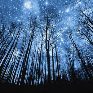 韩国免费高清观看熊出没
